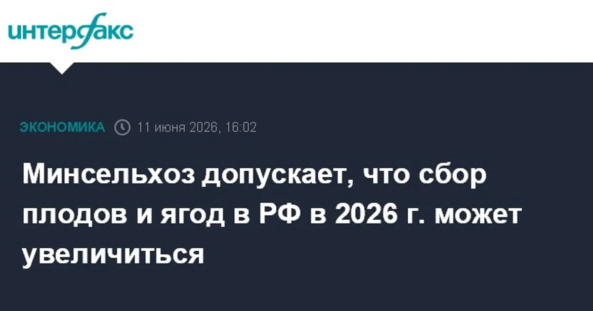 Минсельхоз ожидает роста сбора плодов и ягод к 2026 году