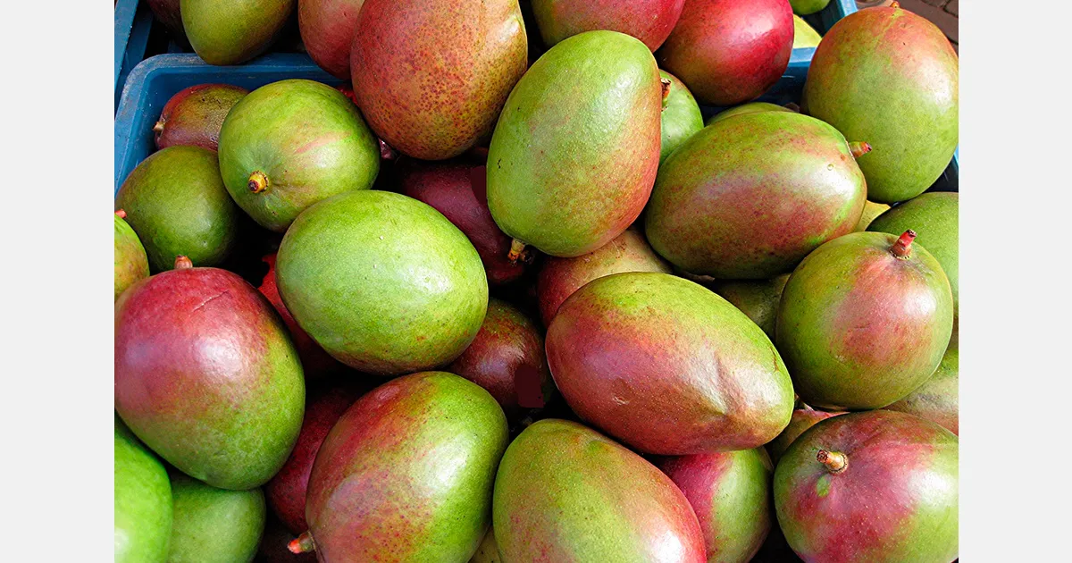 Филиппины продвигают 15 экспортных культур на Seoul Food и Asia Fruit Logistica 2026