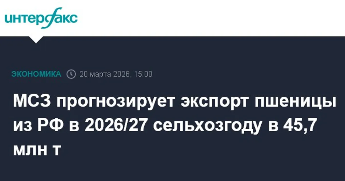 МСЗ: экспорт пшеницы из РФ в 2026/27 СГ достигнет 45,7 млн т