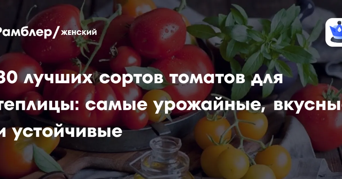 Чем подкормить томаты, чтобы рассада не болела и дала крупный урожай