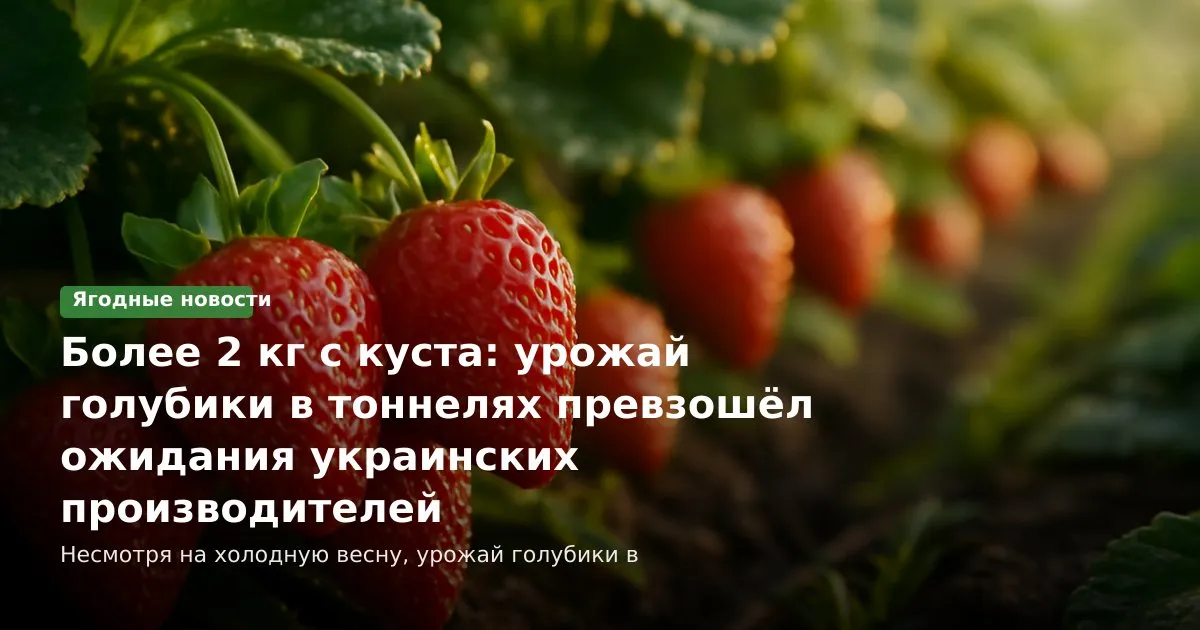 Глобальный экспорт свежей продукции: рекорды Южной Америки, экспансия Перу и новые маршруты Кавказа