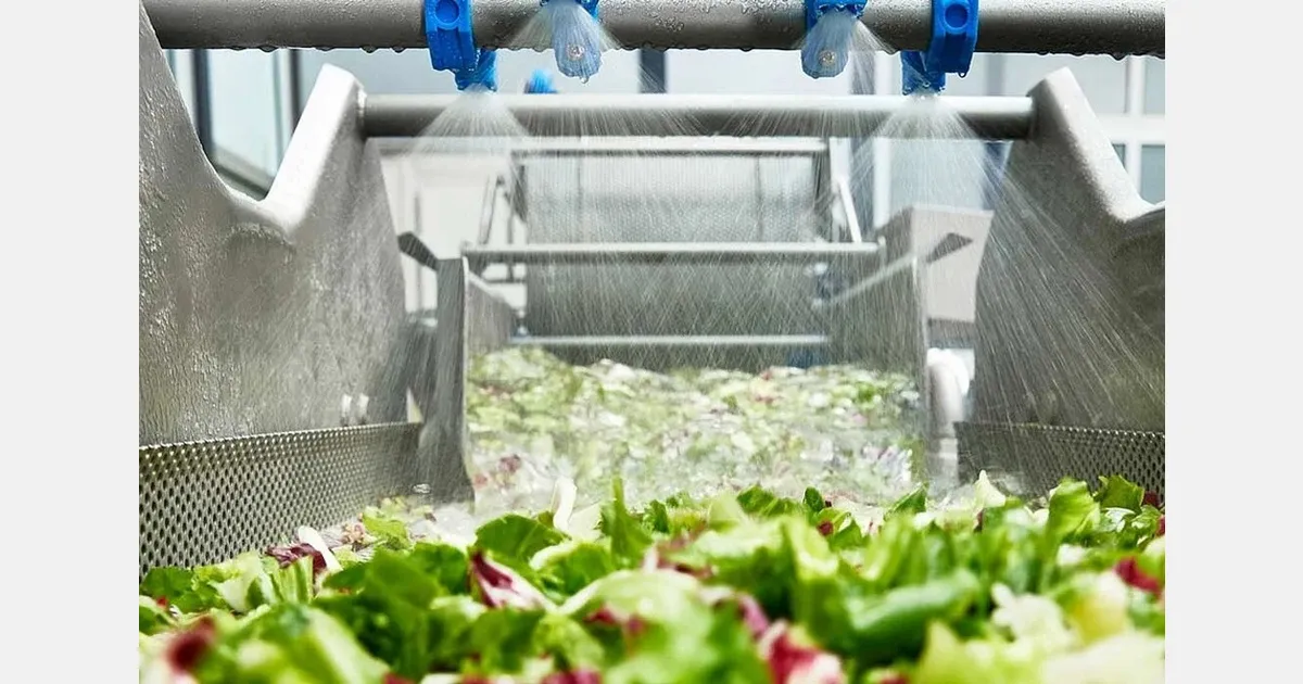 Оборудование Kronen обеспечивает переработку фруктов и овощей на предприятии Gartenfrisch Jung — опыт и рекомендации для РФ/СНГ