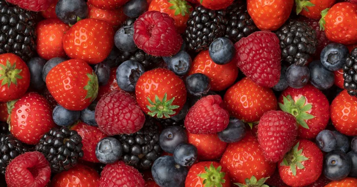 Президент Aneberries: мексиканская ягодная индустрия имеет прочный фундамент для роста — уроки для РФ и СНГ
