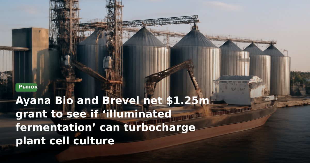 Ayana Bio и Brevel получили грант $1,25 млн на проверку, может ли «освещённая ферментация» ускорить культуру растительных клеток