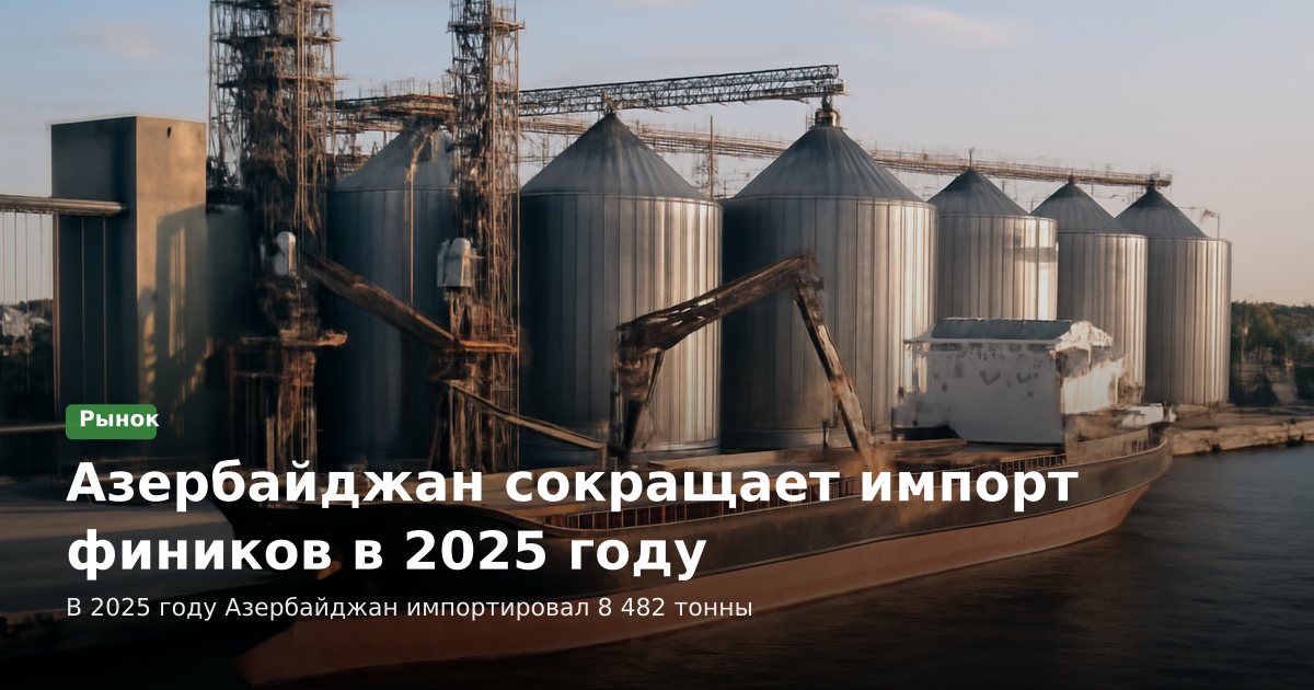 Азербайджан сокращает импорт фиников в 2025 году
