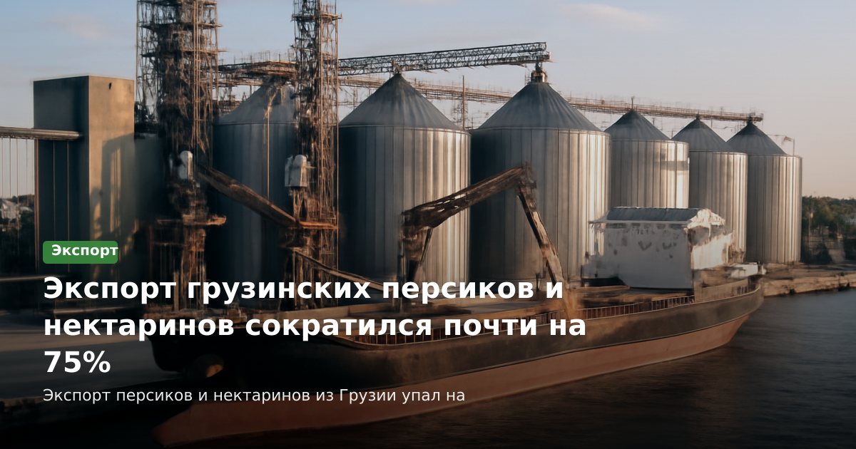 Экспорт грузинских персиков и нектаринов сократился почти на 75%