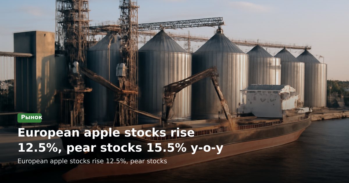 Запасы яблок и груш в Европе выросли на 12,5% и 15,5% — что это значит для РФ и стран СНГ