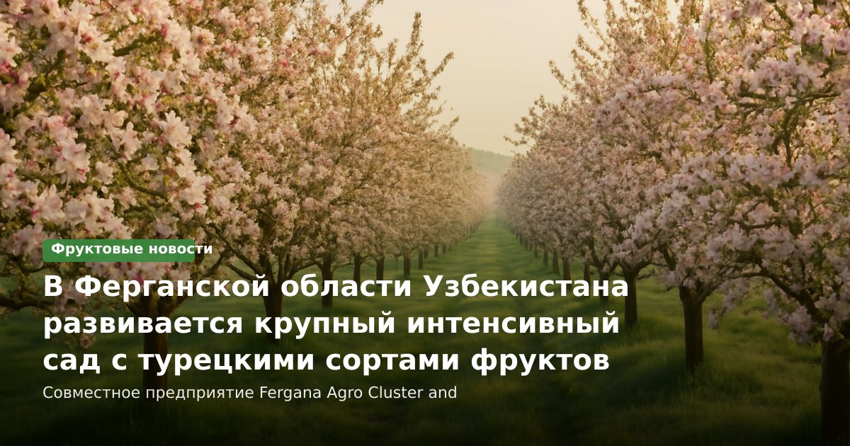В Ферганской области Узбекистана развивается крупный интенсивный сад с турецкими сортами фруктов