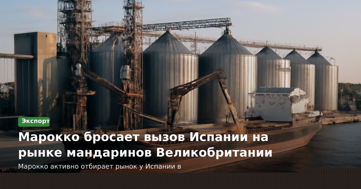 Марокко бросает вызов Испании на рынке мандаринов Великобритании