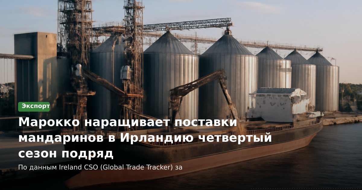 Марокко наращивает поставки мандаринов в Ирландию четвертый сезон подряд