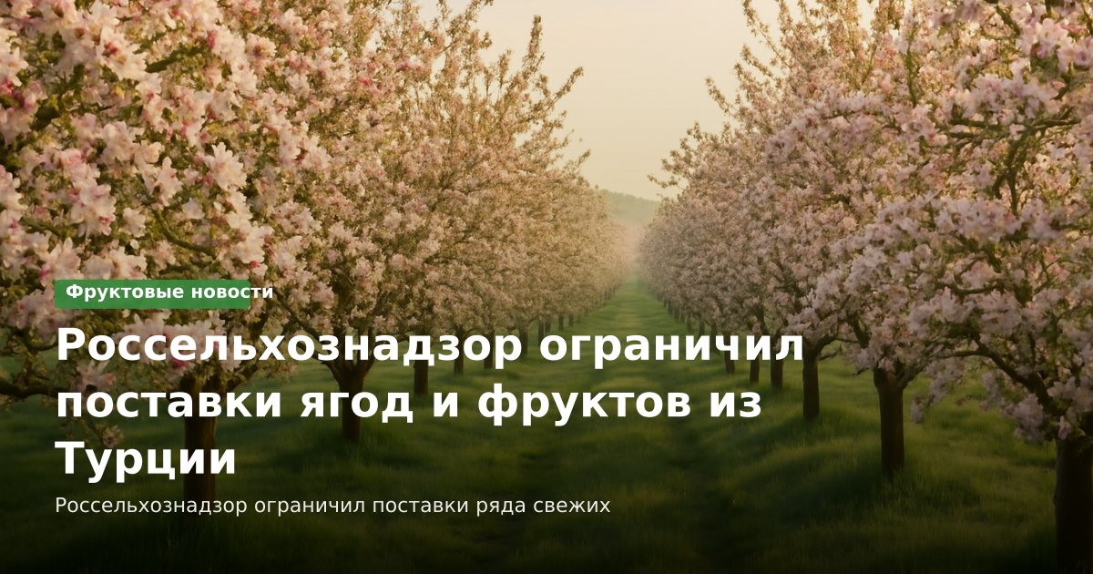 Россельхознадзор ограничил поставки ягод и фруктов из Турции