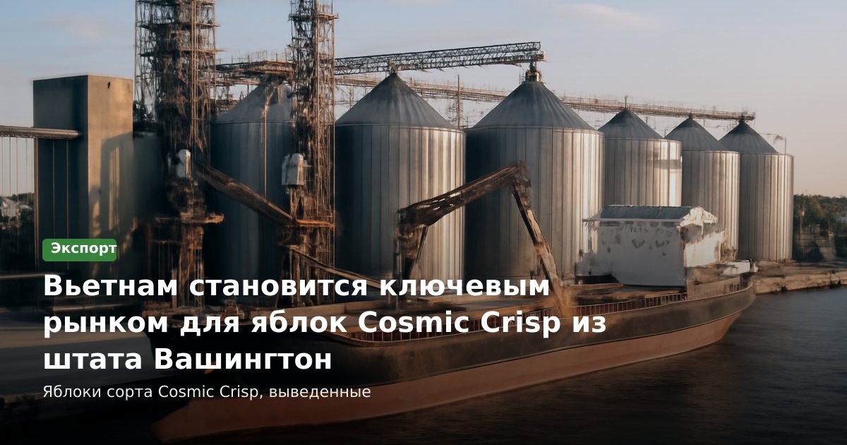 Вьетнам становится ключевым рынком для яблок Cosmic Crisp из штата Вашингтон