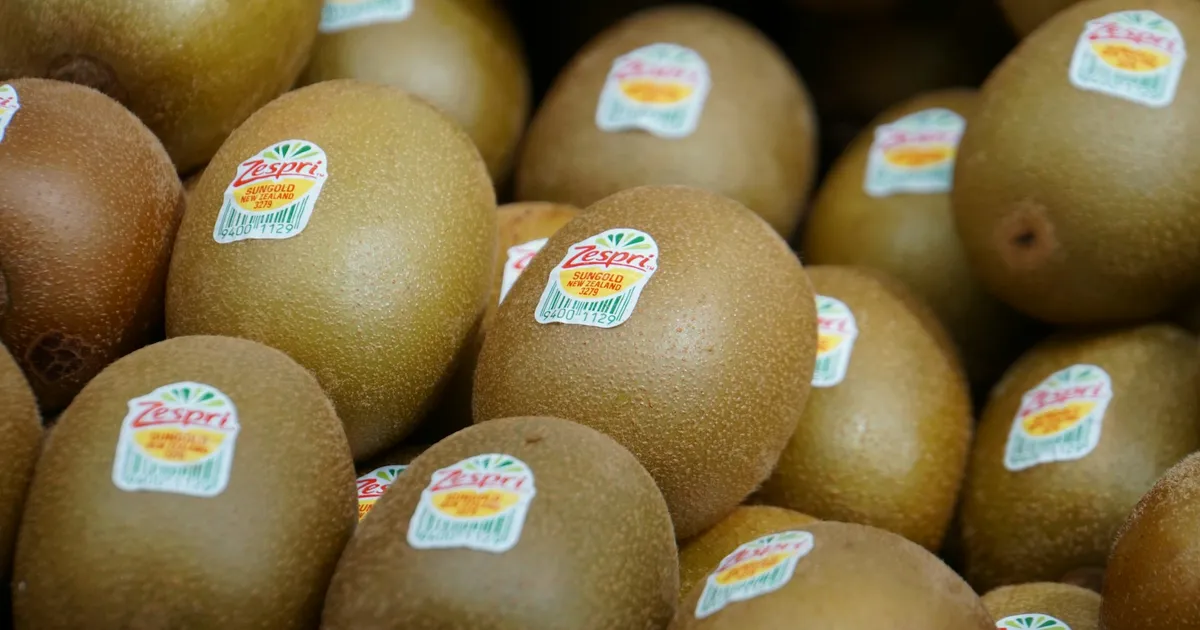 Zespri прогнозирует рекордные выплаты производителям киви в сезоне 2026/27